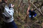 Fotografando num bosque aos 4 mil metros de altitude, no Parque Nacional Cajas, na região de Cuenca, no Equador